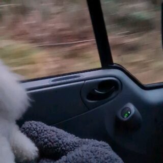 Mylos gone Christmasy! out
Mobile with Autocrunch.co.uk
#winchesterbusiness#bischonfrise#classiccars#autobodyrepair#