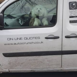 Mylo's out mobile Tesla on site repair
#tesla#teslamodel3#teslamodels